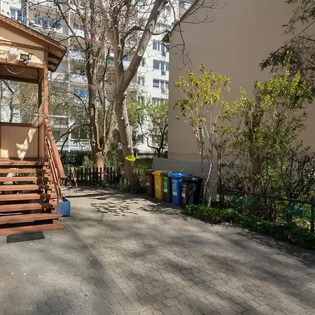 Sunny 1 * 索波特